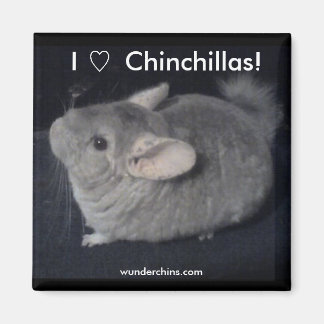Imã Eu Amo Chinchillas