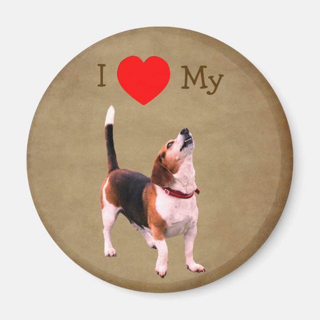Imã Eu Amo Coração Meu Cachorro Beagle  (Frente)