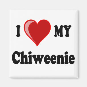 Imã Eu amo (coração) meu cão de Chiweenie