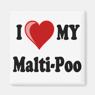 Imã Eu amo (coração) meu cão de Malti-Poo