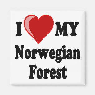 Imã Eu amo (coração) meu gato norueguês da floresta