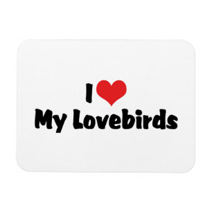 Ímã Eu Amo Coração Meus Lovebirds - Amante de Pássaros