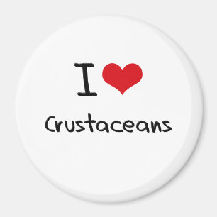 Imã Eu amo crustáceos