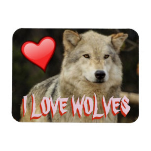 ÍMÃ EU AMO DEMASIADO LOBOS - OS LOBOS ESTÃO BONITOS E