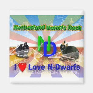 Imã Eu amo Dutch Dwarf Bunnies