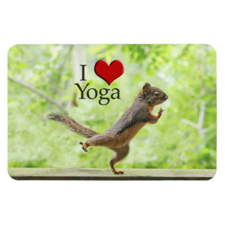 Ímã Eu Amo Esquilo Yoga
