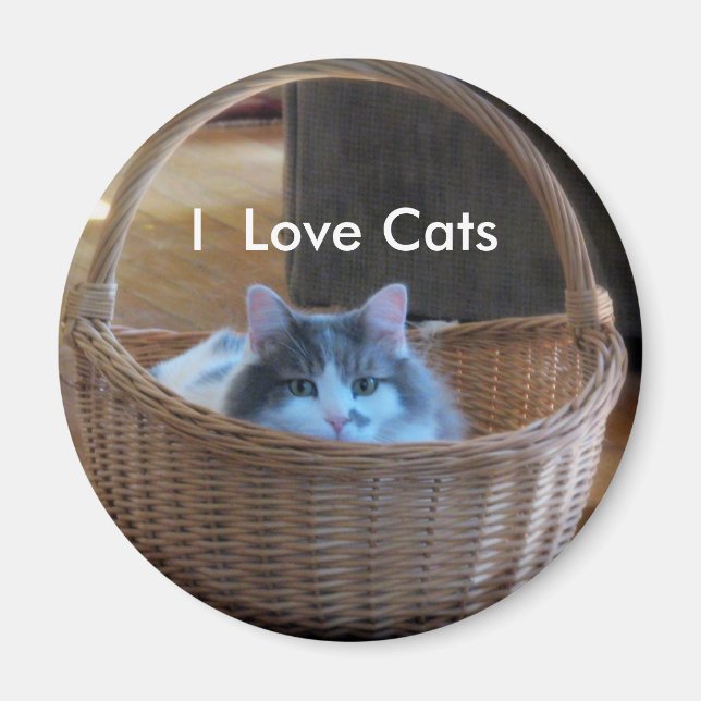 Imã Eu Amo Gatos (Frente)