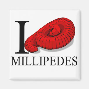 Imã Eu amo ímãs dos milípedes