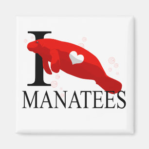 Imã Eu amo ímãs dos peixes-boi