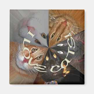 Imã Eu Amo Magnet De Gatos