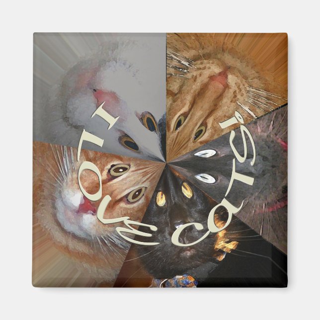 Imã Eu Amo Magnet De Gatos (Frente)