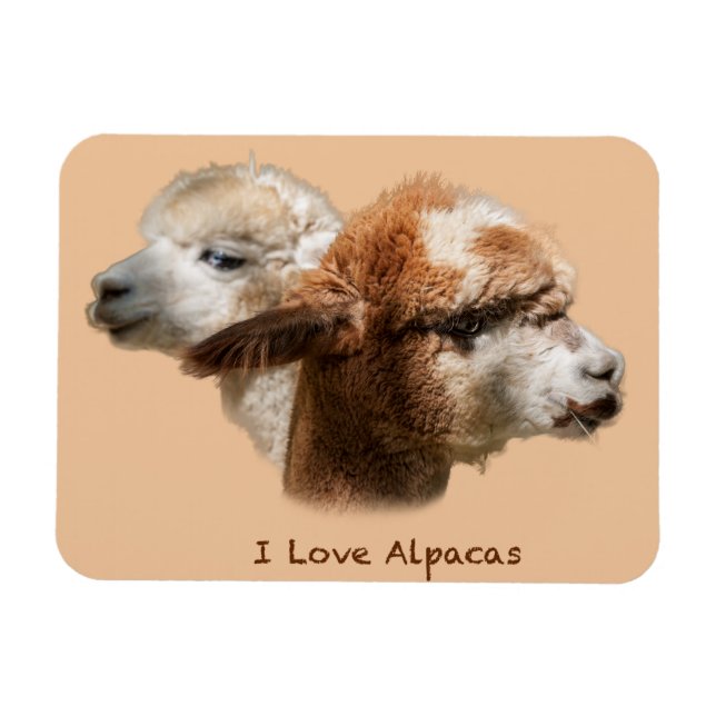 Ímã Eu Amo Magnets Alpacas (Horizontal)