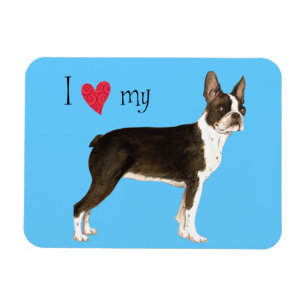 Ímã Eu amo meu Boston Terrier