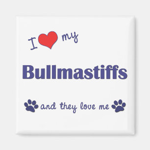 Imã Eu amo meu Bullmastiffs (os cães múltiplos)