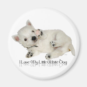 Imã Eu Amo Meu Cachorrinho Branco - Filhote Westie