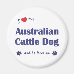 Imã Eu amo meu cão australiano do gado (o cão