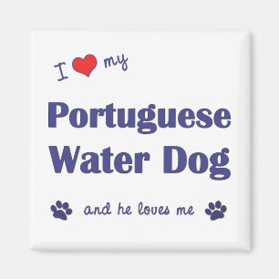 Imã Eu amo meu cão de água português (o cão mascul