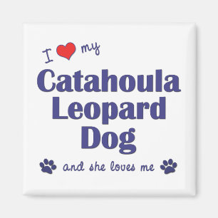 Imã Eu amo meu cão do leopardo de Catahoula (o cão