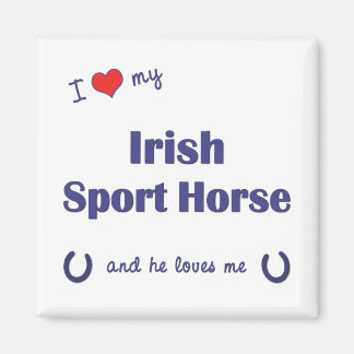 Imã Eu Amo Meu Cavalo Esportivo Irlandês (Cavalo Mascu