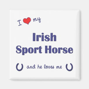 Imã Eu amo meu cavalo irlandês do esporte (o cavalo