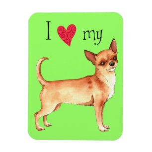Ímã Eu amo meu Chihuahua