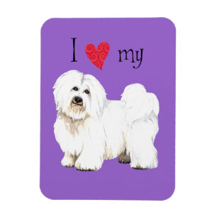 Ímã Eu amo meu Coton de Tulear