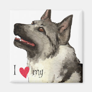 Imã Eu amo meu Elkhound norueguês