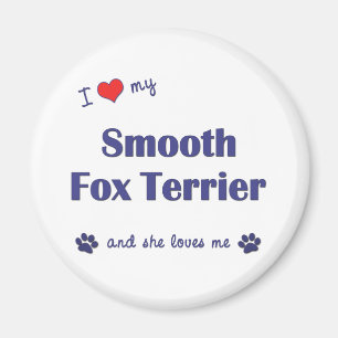 Imã Eu amo meu Fox Terrier liso (o cão fêmea)