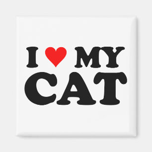 Imã Eu amo meu gato