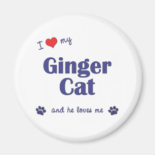 Imã Eu amo meu gato do gengibre (o gato masculino)