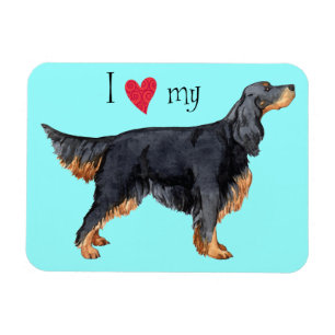 Ímã Eu amo meu Gordon Setter