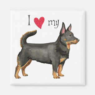 Imã Eu amo meu Lancashire Heeler