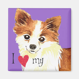 Imã Eu amo meu longo Casaco Chihuahua