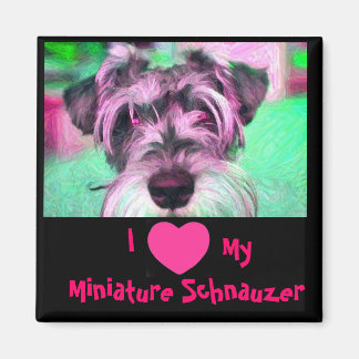 Imã Eu Amo Meu Magneto De Schnauzer Miniatura