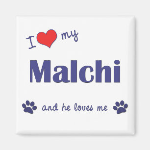 Imã Eu amo meu Malchi (o cão masculino)