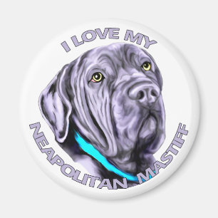 Imã Eu amo meu Mastiff napolitana