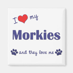 Imã Eu amo meu Morkies (os cães múltiplos)
