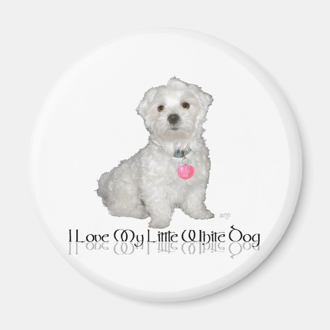 Imã Eu Amo Meu Pequeno Cachorro Branco - Maltese ! (Frente)