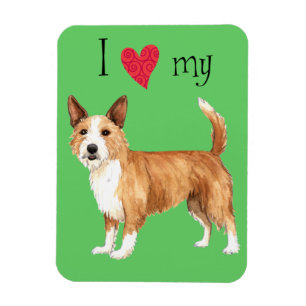 Ímã Eu amo meu Podengo português Pequeno