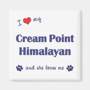 Imã Eu amo meu ponto de creme Himalaia (o gato fêmea)
