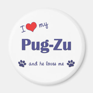Imã Eu amo meu pug-Zu (o cão masculino)