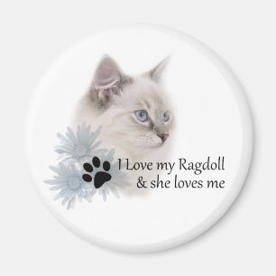 Imã Eu amo meu ragdoll