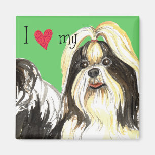 Imã Eu amo meu Shih Tzu
