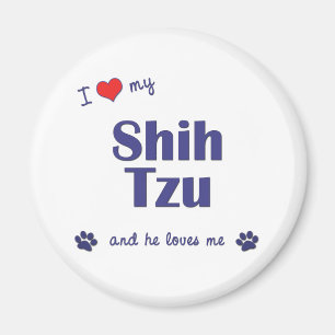 Imã Eu amo meu Shih Tzu (o cão masculino)
