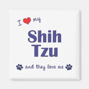 Imã Eu amo meu Shih Tzu (os cães múltiplos)