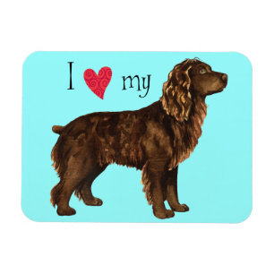 Ímã Eu amo meu Spaniel de Boykin