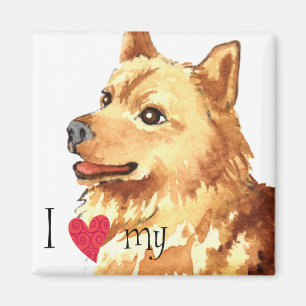 Imã Eu amo meu Spitz finlandês