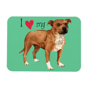 Ímã Eu amo meu Staffordshire bull terrier