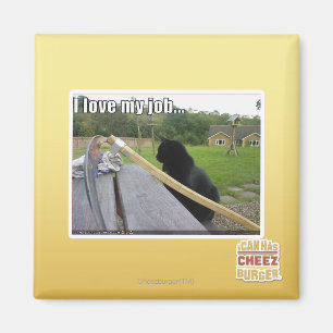 Imã Eu amo meu trabalho