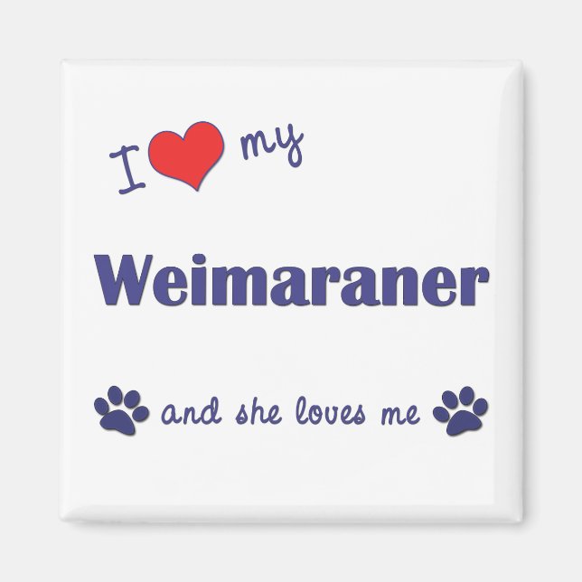 Imã Eu Amo Meu Weimaraner (Cachorro Feminino) (Frente)